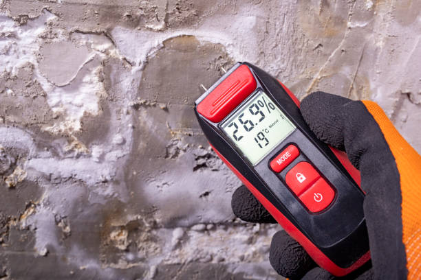Best Same-Day Mold Removal  in Winchester, IL