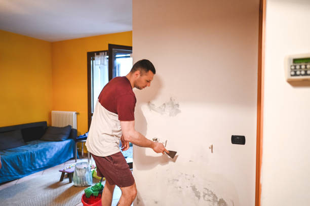 Best Mold Remediation Experts  in Winchester, IL
