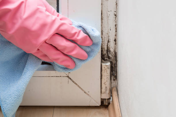 Water Damage Restoration in Winchester, IL
